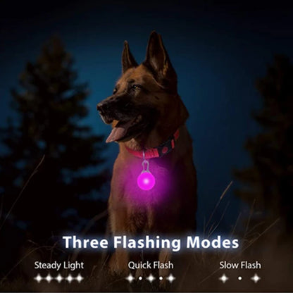 LED Dog Collar Light: Night Safety Glow Pendant Accessory