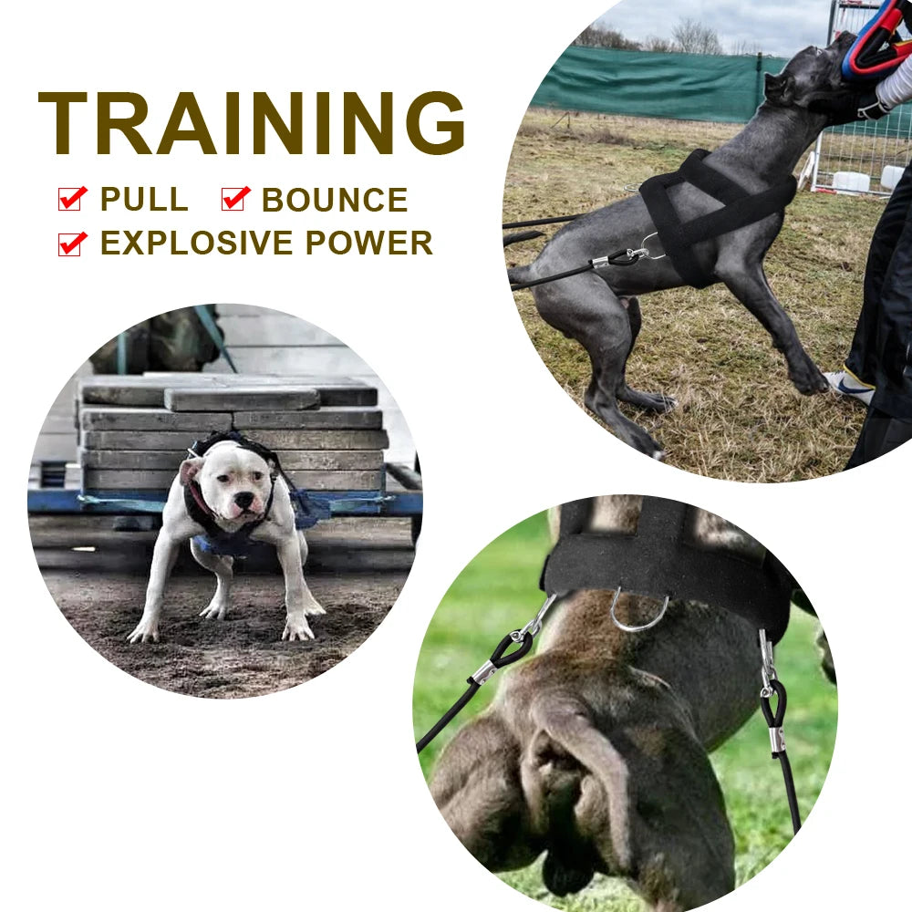 Dog Weight Pulling Harness | Black Adjustable Training Vest & Leash for Medium/Large Working Dogs like Husky
