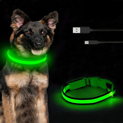 Dog Collar with a Light, USB Rechargeable & Waterproof Glow