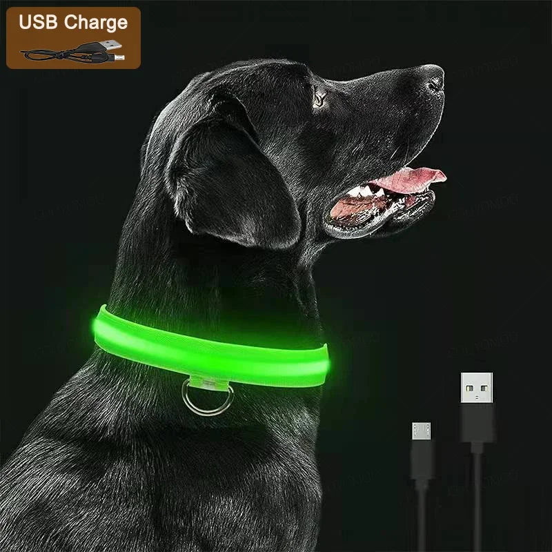 Dog Collar with a Light, USB Rechargeable & Waterproof Glow