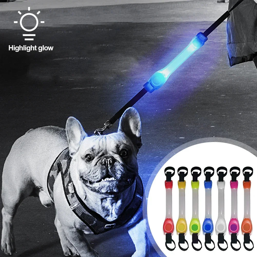 Glow in the Dark Dog Collar: Waterproof LED Safety Light