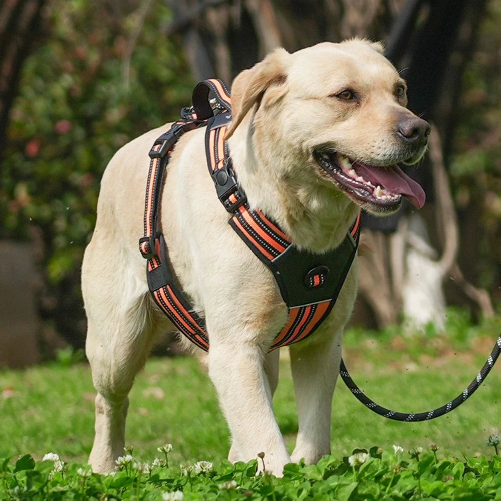 Heavy Duty Dog Harness with Handle. Padded Reflective No Pull Vest for Medium Large Dogs like Pitbull, Shepherd
