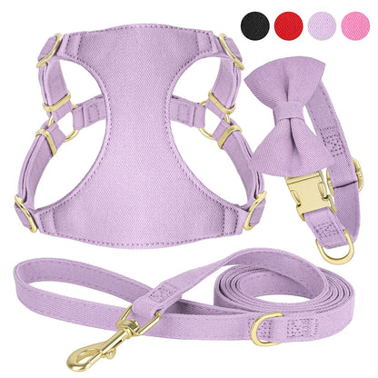 Dog Harness Collar and Leash Set with Bowtie for Small Medium Dogs, Adjustable & Cute Pet Vest Harness