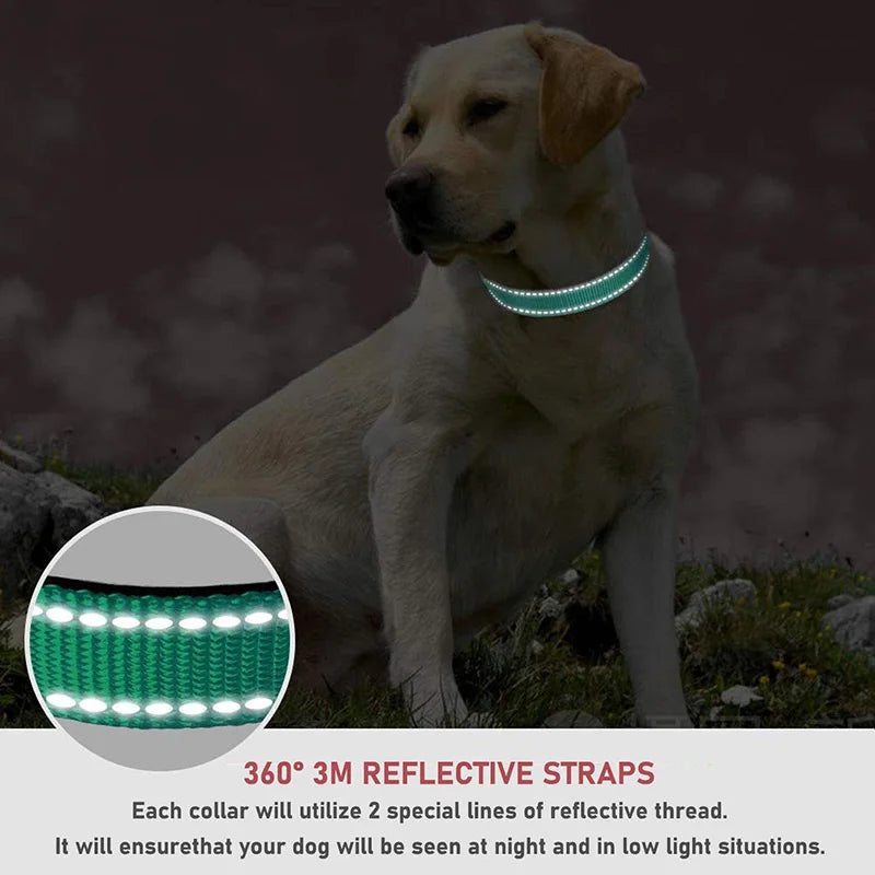 Reflective Dog Collar: Durable Adjustable Safety Nylon Strap