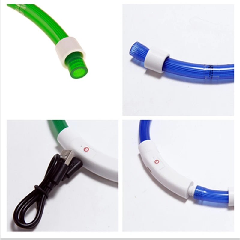Light Up Dog Collar: USB Rechargeable, Glowing Night Safety