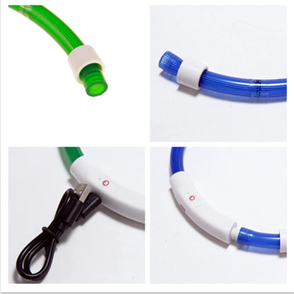 Light Up Dog Collar: USB Rechargeable, Glowing Night Safety