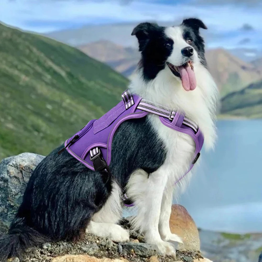 Dog Harness with Handle and Poop Bag Holder, Comfortable Vest Design for Small Medium Dogs, Ideal for French Bulldogs