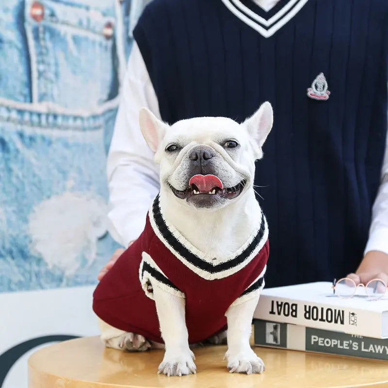Dog Sweaters for Chihuahuas Warm College Style Pet Vest Clothes for Small Medium Dogs & Puppies