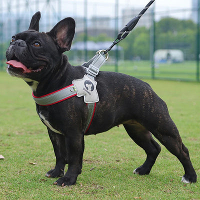 Y Shaped Dog Harness: Best for Small Breeds, Puppies & Senior Dogs - Breathable Mesh