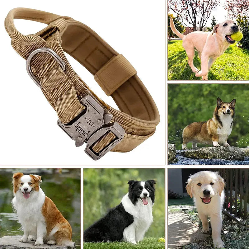 Tactical Dog Collar Heavy Duty Nylon with Control Handle