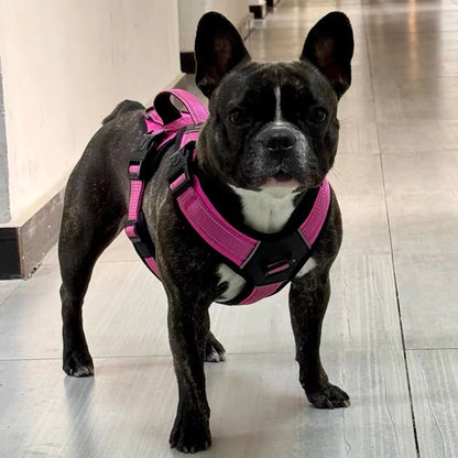 Heavy Duty Dog Harness with Handle. Padded Reflective No Pull Vest for Medium Large Dogs like Pitbull, Shepherd