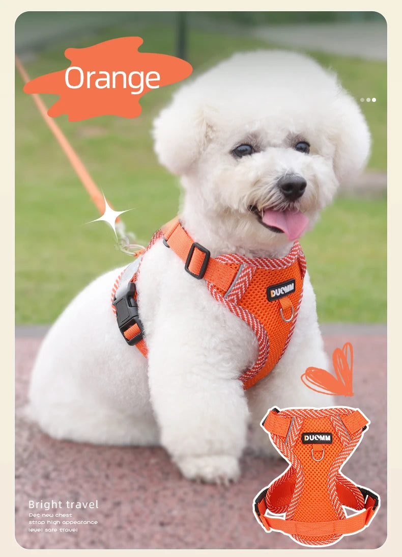 Dog Leash Harness Set for Small Dogs, Secure Fit 4-point Adjustment, Reflective All-Season Breathable Mesh Vest