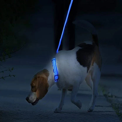 Dog Collar with a Light, USB Rechargeable & Waterproof Glow