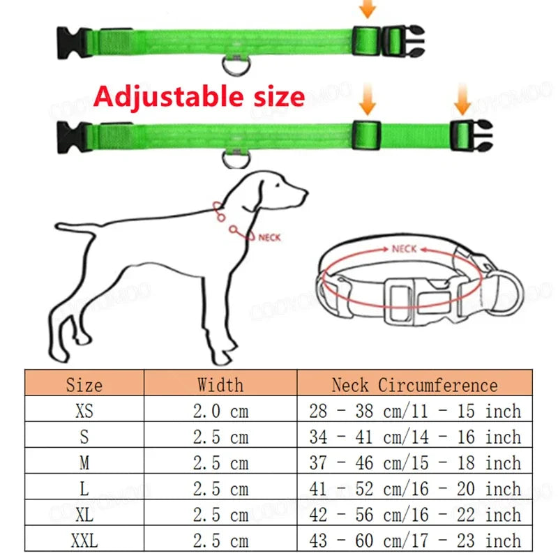 Dog Collar with a Light, USB Rechargeable & Waterproof Glow