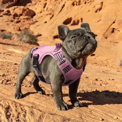 Dog Harness with Handle and Poop Bag Holder, Comfortable Vest Design for Small Medium Dogs, Ideal for French Bulldogs