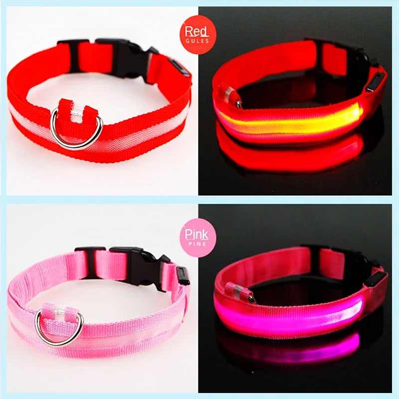 Dog Collar with a Light, USB Rechargeable & Waterproof Glow