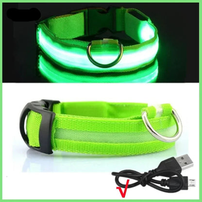 Dog Collar with a Light, USB Rechargeable & Waterproof Glow