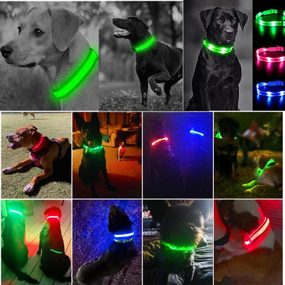 Dog Collar with a Light, USB Rechargeable & Waterproof Glow