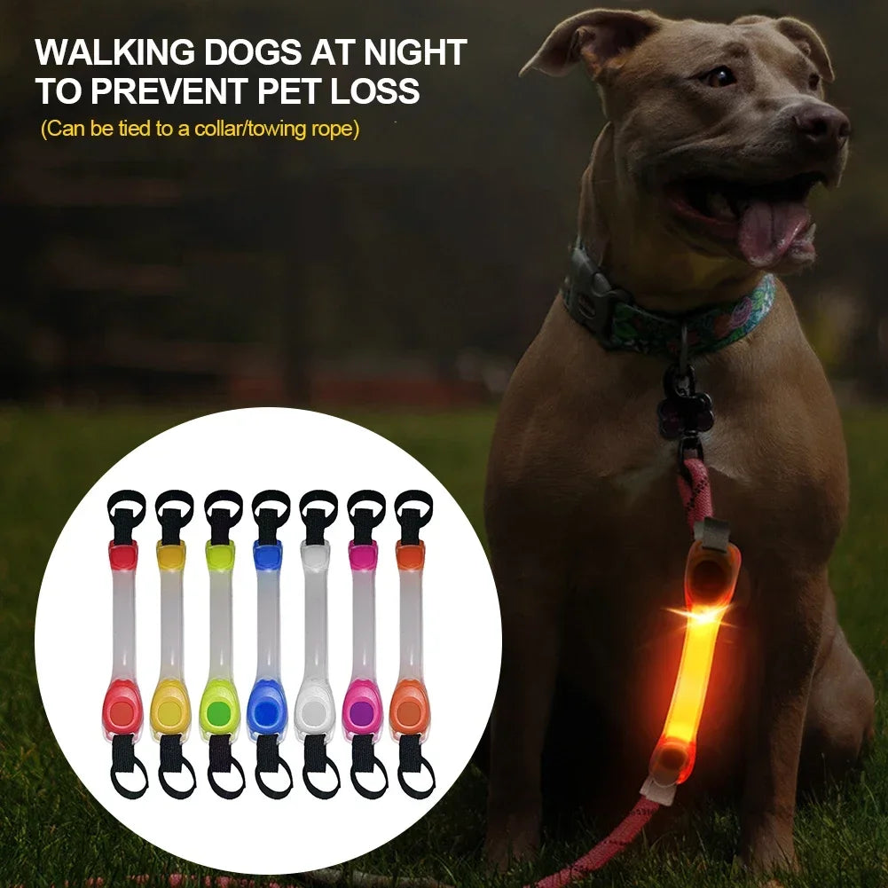 Glow in the Dark Dog Collar: Waterproof LED Safety Light