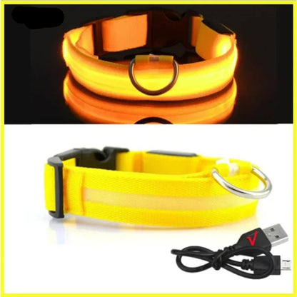 Dog Collar with a Light, USB Rechargeable & Waterproof Glow