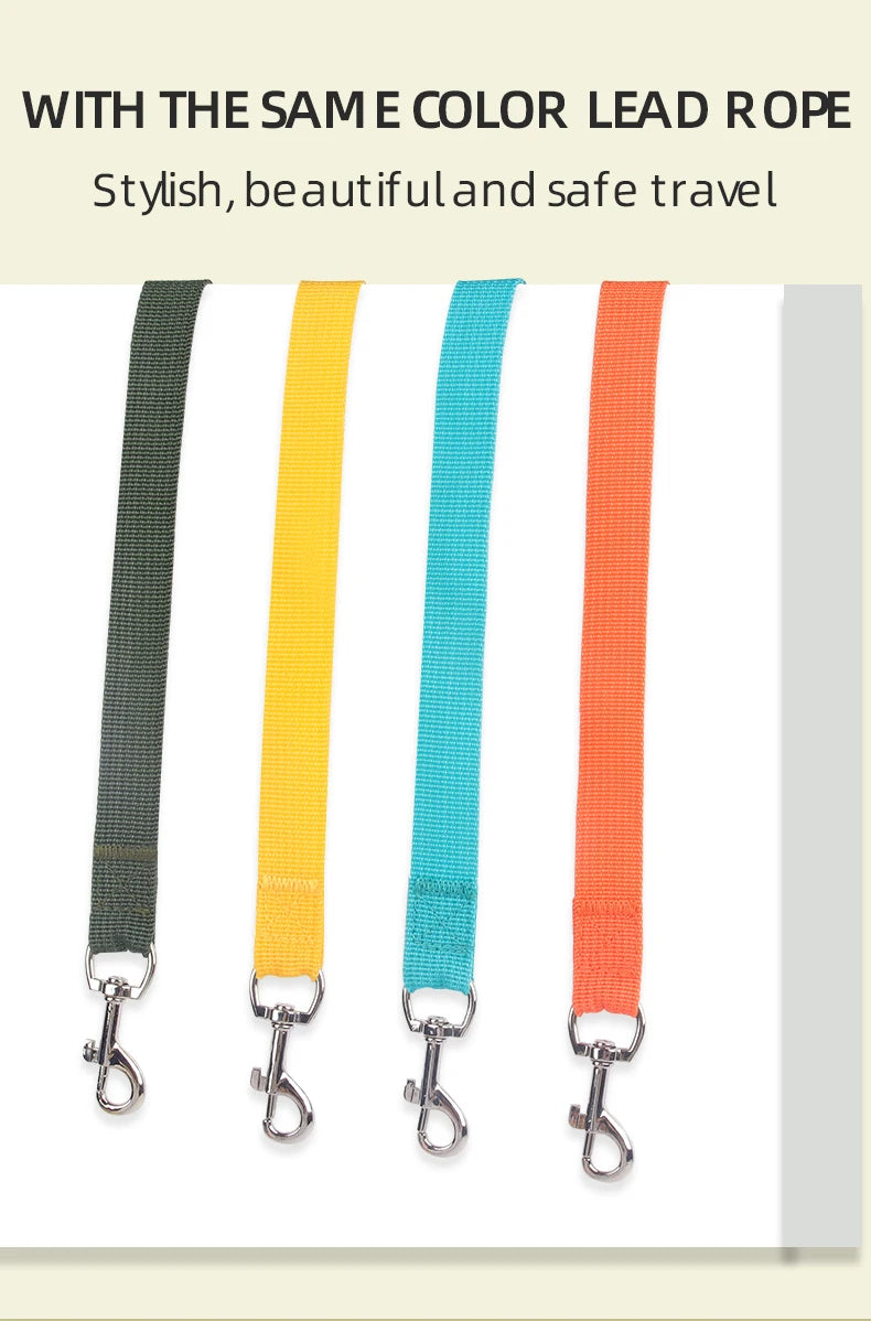 Dog Leash Harness Set for Small Dogs, Secure Fit 4-point Adjustment, Reflective All-Season Breathable Mesh Vest