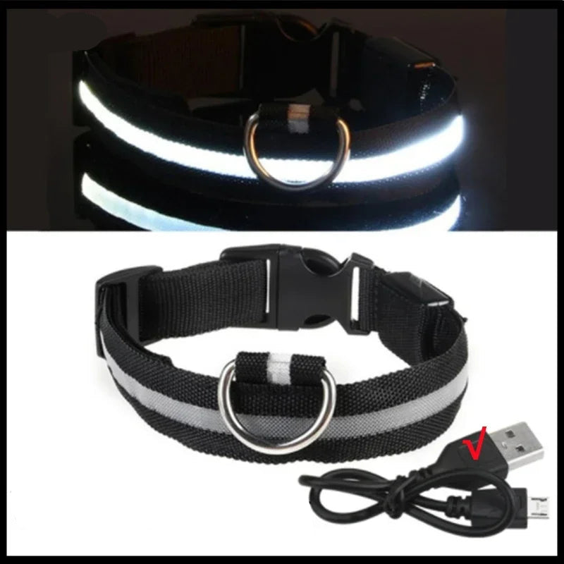 Dog Collar with a Light, USB Rechargeable & Waterproof Glow