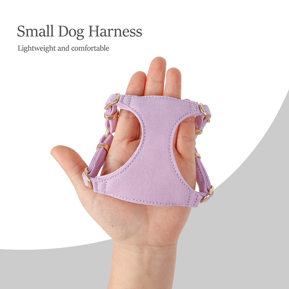 Dog Harness Collar and Leash Set with Bowtie for Small Medium Dogs, Adjustable & Cute Pet Vest Harness