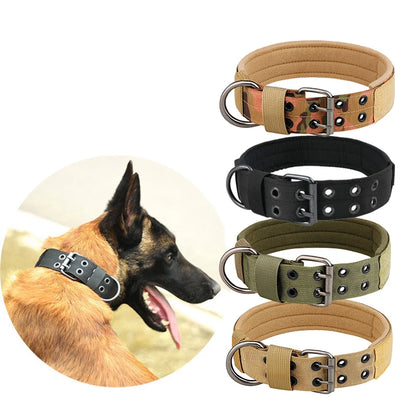 Heavy Duty Dog Collar: Tactical Nylon with Quick Release