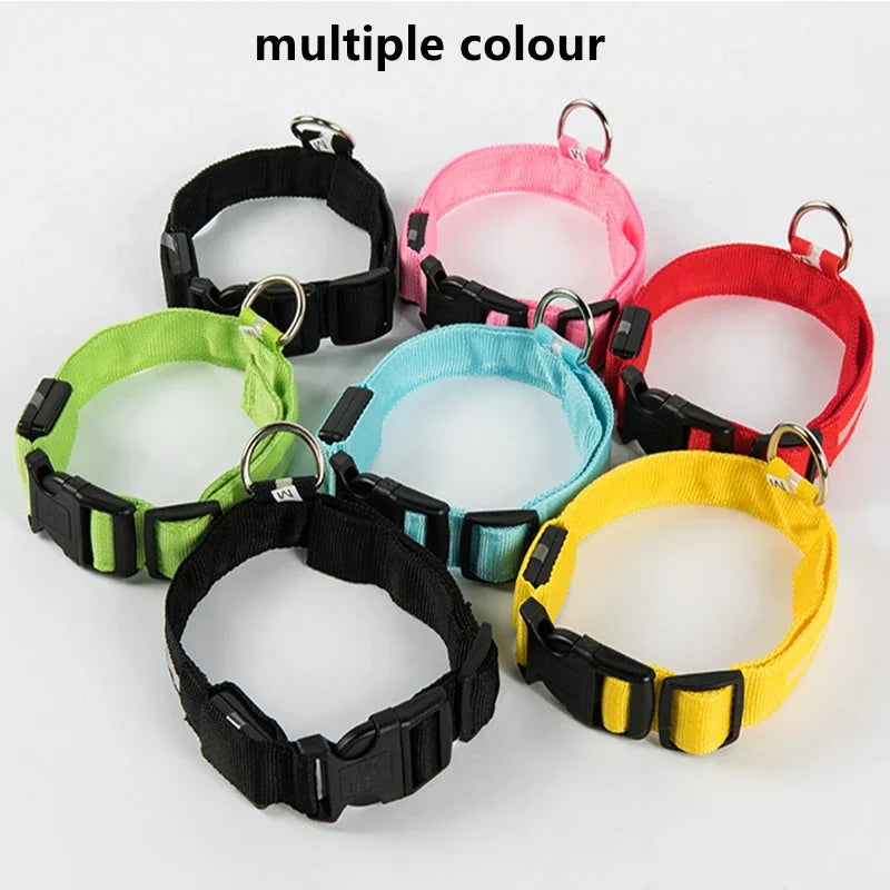 Dog Collar with a Light, USB Rechargeable & Waterproof Glow