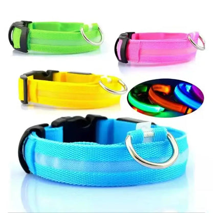 Dog Collar with a Light, USB Rechargeable & Waterproof Glow