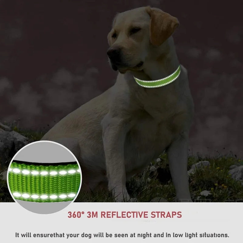 Small Dog Collar - Luxury Decorative Puppy Neck Accessory