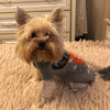 Cute Puppy Sweater for Winter | Soft & Cozy Dog Pullover | Small Dog Clothes | Pet Apparel