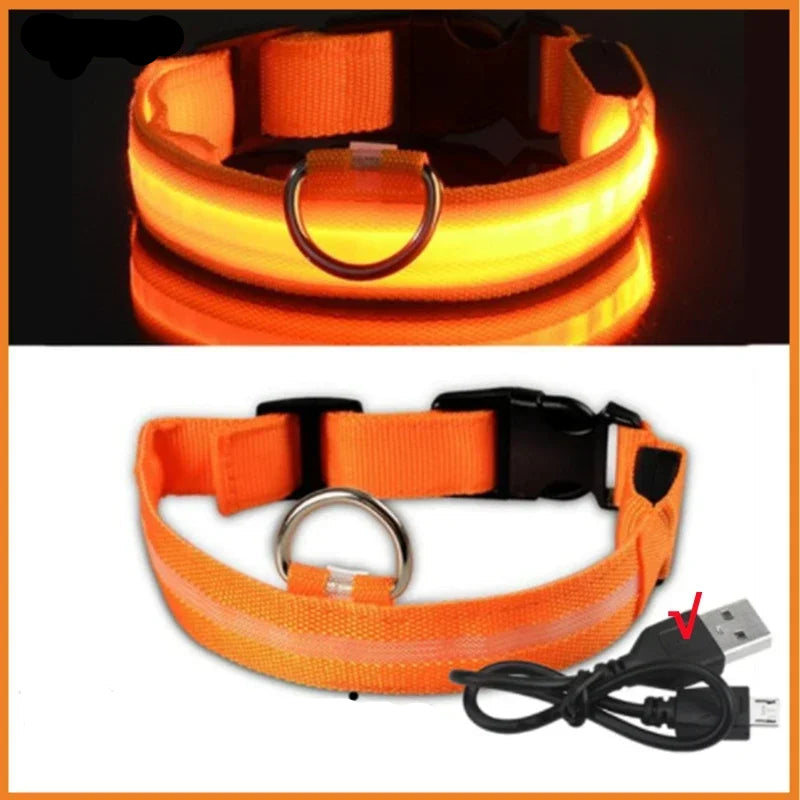 Dog Collar with a Light, USB Rechargeable & Waterproof Glow