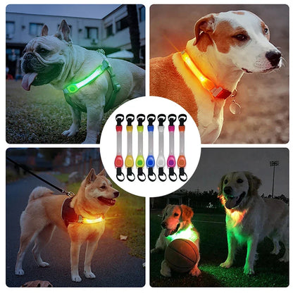 Glow in the Dark Dog Collar: Waterproof LED Safety Light