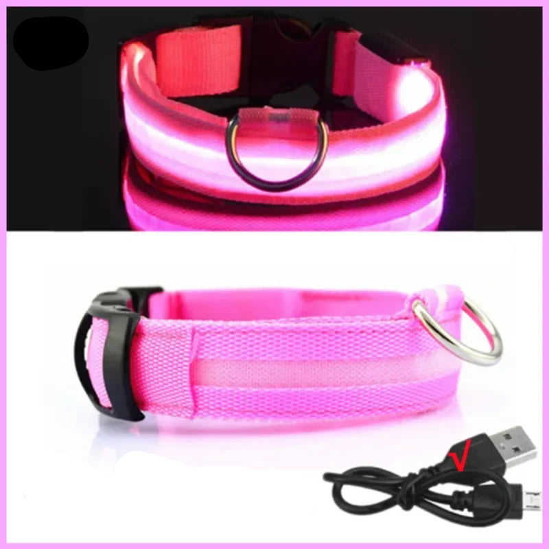 Dog Collar with a Light, USB Rechargeable & Waterproof Glow