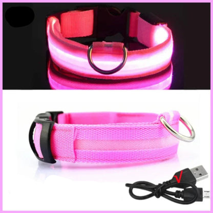 Dog Collar with a Light, USB Rechargeable & Waterproof Glow