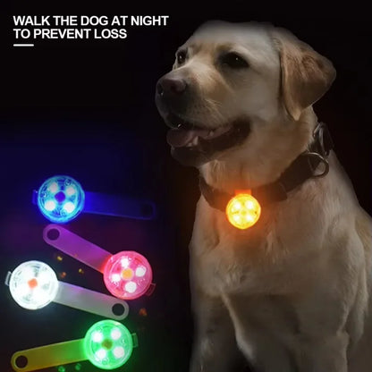 Light for a Dog Collar: Weatherproof USB Rechargeable LED