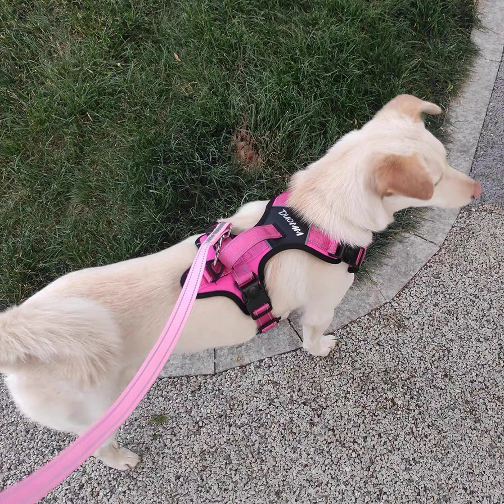 Heavy Duty Dog Harness with Handle. Padded Reflective No Pull Vest for Medium Large Dogs like Pitbull, Shepherd