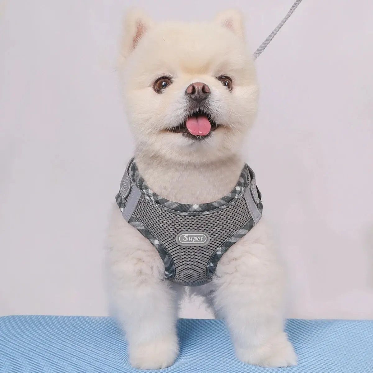 Supet Anti Pull Dog Harness - Adjustable & Easy to Control for Small to Medium Dogs, Heavy Duty Stitching