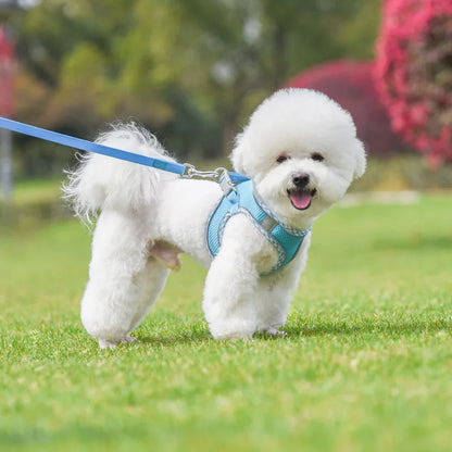 Dog Lead and Harness Set | Reflective Plaid Vest for Small Medium Dogs - Outdoor Walking Accessories for Chihuahua, Pomeranian