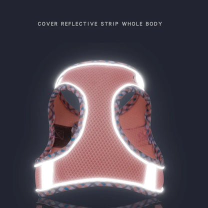 Dog Lead and Harness Set | Reflective Plaid Vest for Small Medium Dogs - Outdoor Walking Accessories for Chihuahua, Pomeranian