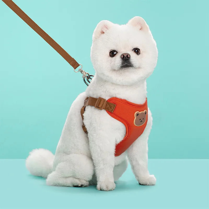 Dog Harness and Leash Set for Small Dogs - Breathable Escape Proof Vest for French Bulldog, Chihuahua and Puppy