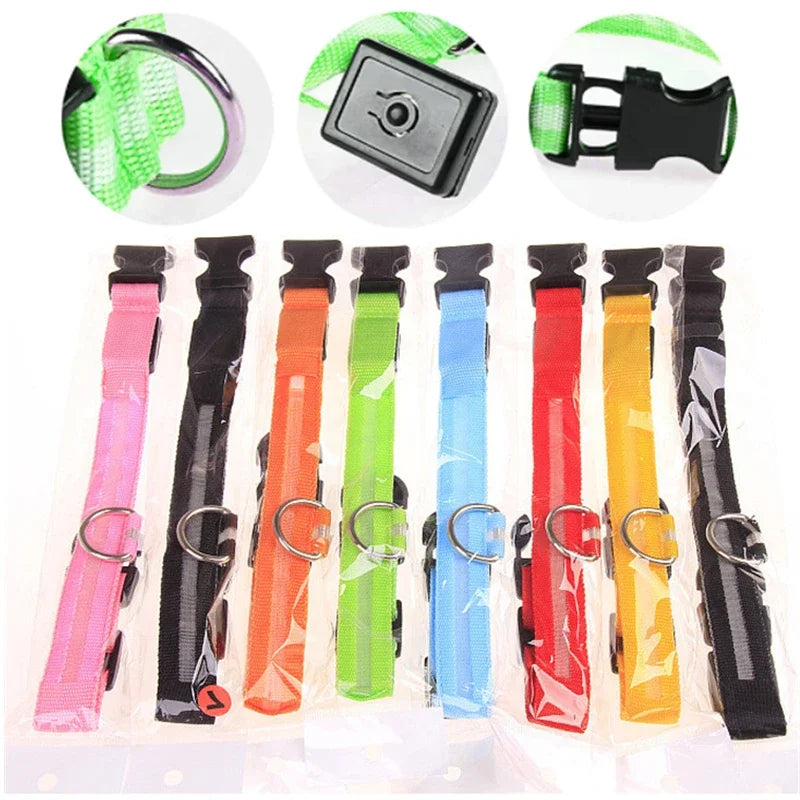 Dog Collar with a Light, USB Rechargeable & Waterproof Glow