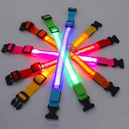 Dog Collar with a Light, USB Rechargeable & Waterproof Glow