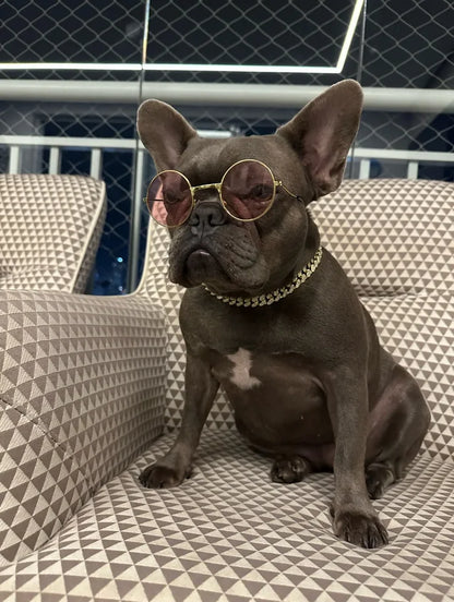 Cuban Link Dog Collar: Luxury Iced Out Gold Diamond Chain