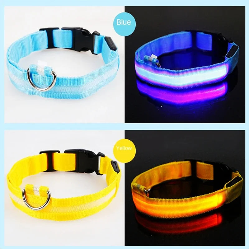 Dog Collar with a Light, USB Rechargeable & Waterproof Glow
