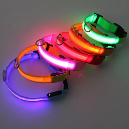 Dog Collar with a Light, USB Rechargeable & Waterproof Glow
