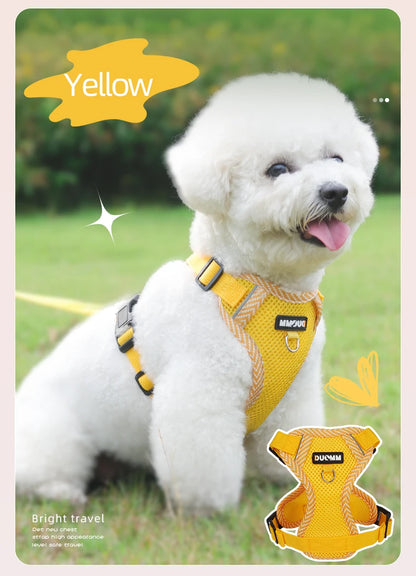 Dog Leash Harness Set for Small Dogs, Secure Fit 4-point Adjustment, Reflective All-Season Breathable Mesh Vest