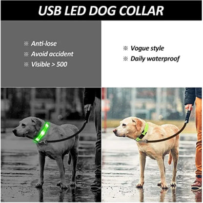 Dog Collar with a Light, USB Rechargeable & Waterproof Glow