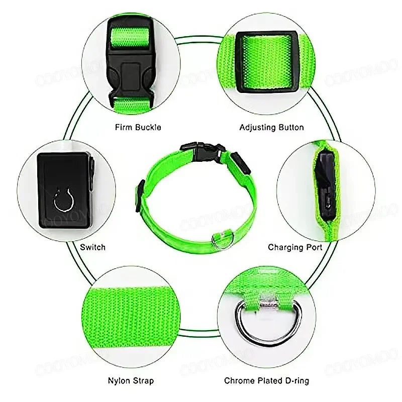 Dog Collar with a Light, USB Rechargeable & Waterproof Glow